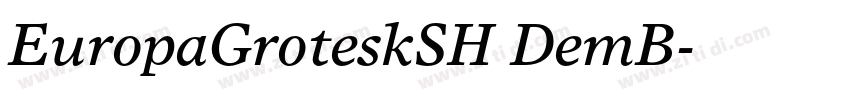 EuropaGroteskSH DemB字体转换